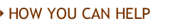 How You Can Help
